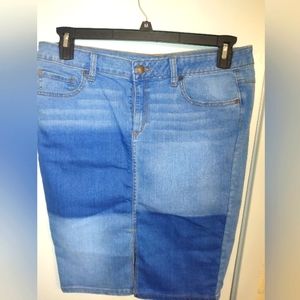 Skirt R1893 Roebuck&Co size 10